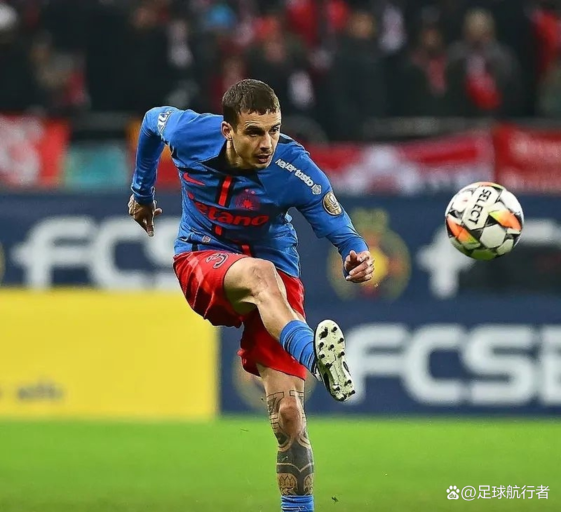 澳客亚洲官网-包含南安普顿客场大胜西汉姆，保级希望重新燃起！的词条