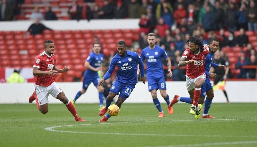 澳客在线-谢菲联表现出色,球队士气高涨备战下一场比赛